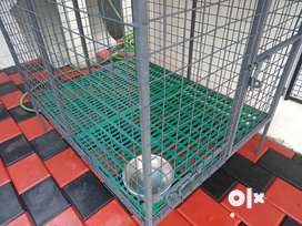 Dog cage shop in olx