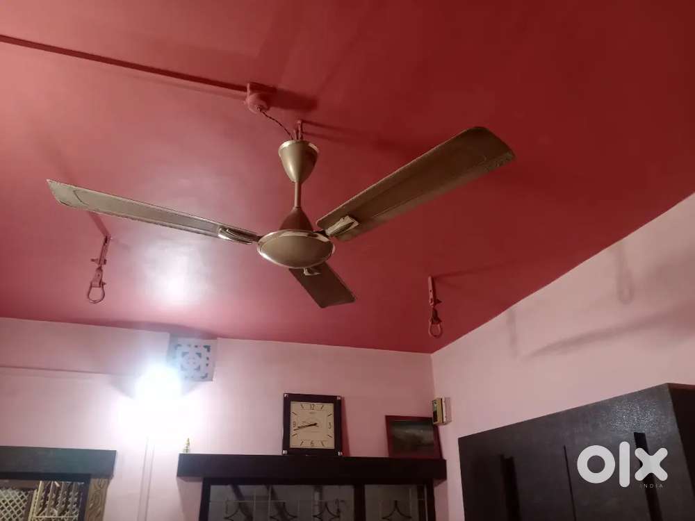 Cealing fans 6, 1 Pati palang 5*6, 1 Pati palang 6*6, 1 palang 6*3
