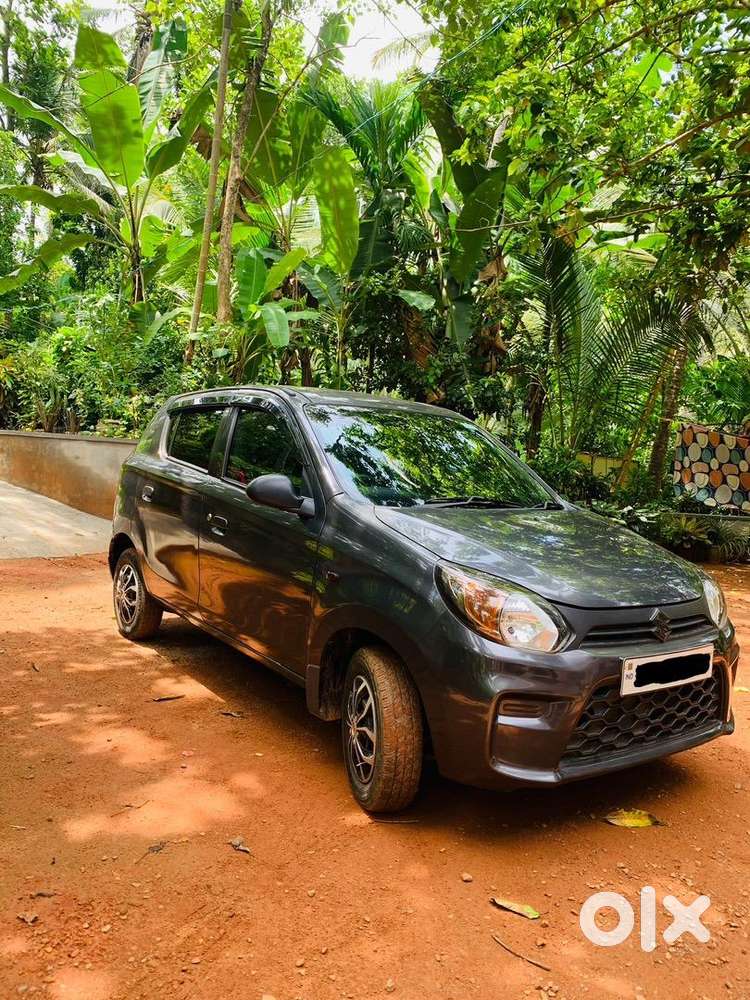 2019 Maruti Suzuki