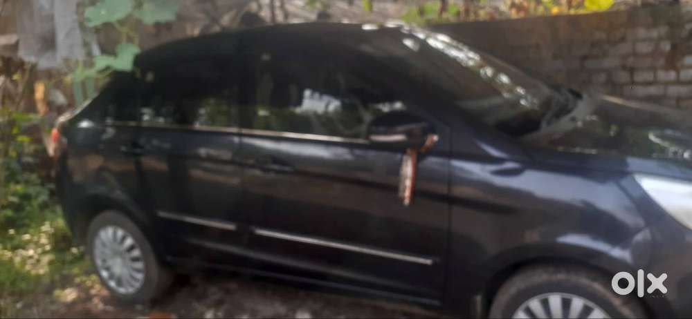 Showroom Cndition Zest Xms