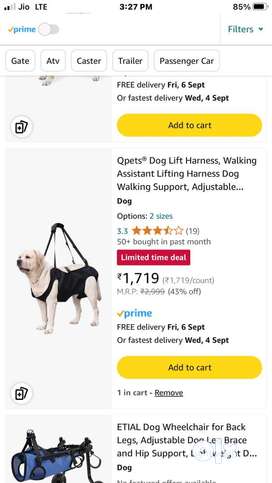 dog in Dehradun Free classifieds in Dehradun OLX