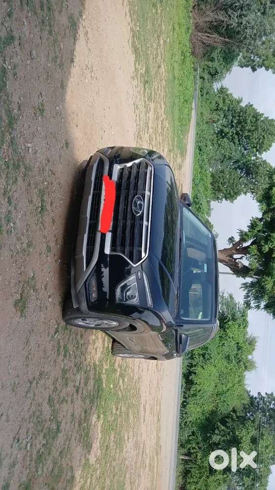 Black Creta