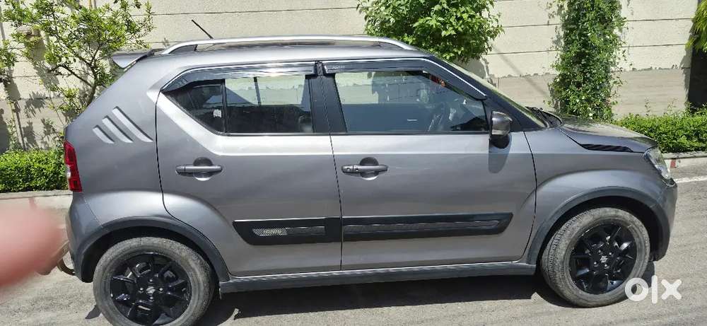Maruti Suzuki Ignis 2024 Petrol Well Maintained
