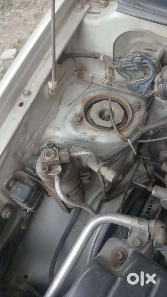 Full Condition