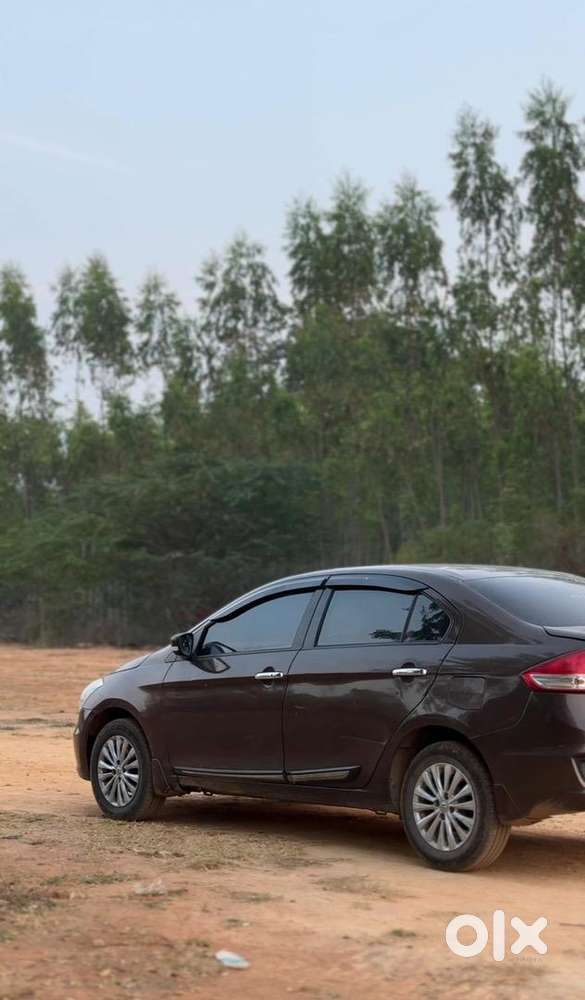Maruti Suzuki Diesel 2016