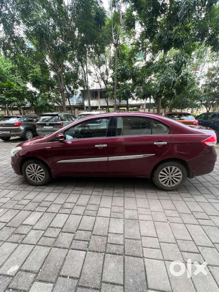 Maruti Suzuki Car 2015