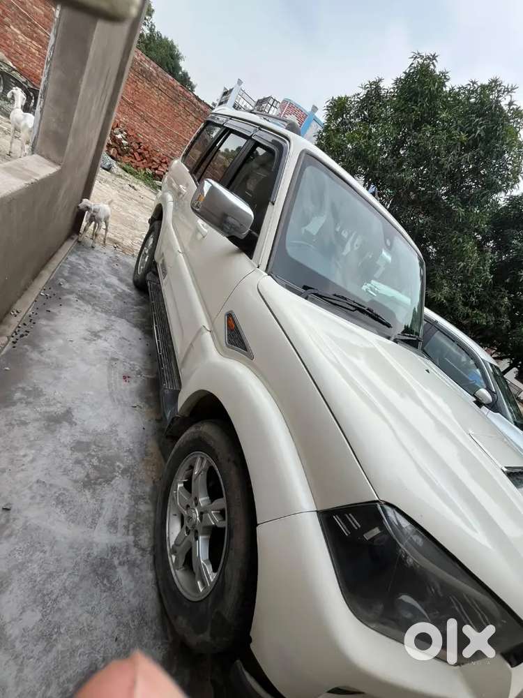 Mahindra Scorpio Classic 2014  Year November