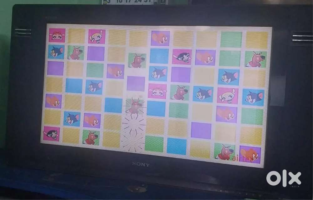 Sony LCD TV 24
