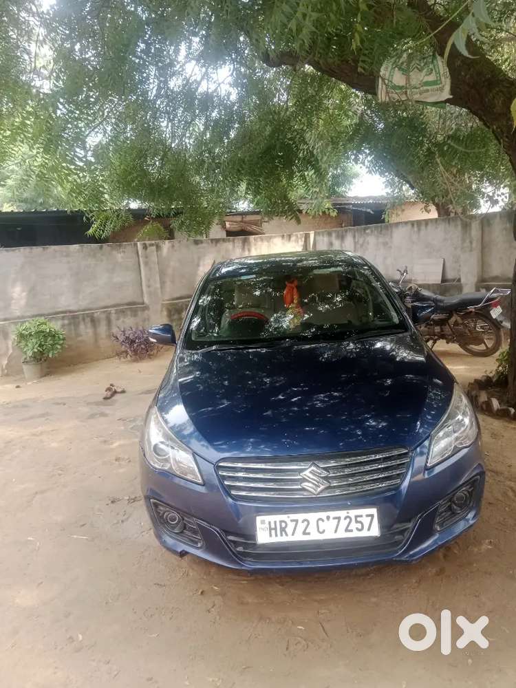 Maruti Suzuki Ciaz 2017 Diesel Car