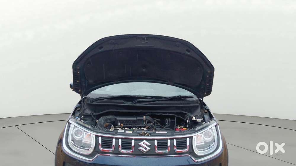 Maruti Suzuki Ignis 1.2 Alpha Amt, 2024, Petrol