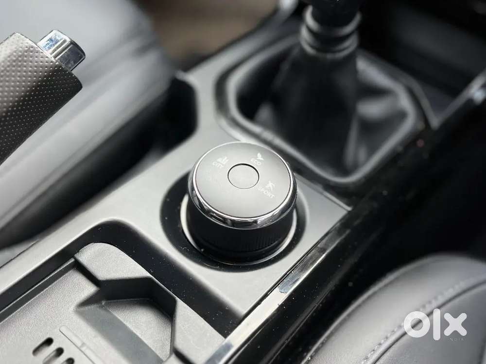 Tata Nexon 2024 Petrol 32000 Km Driven