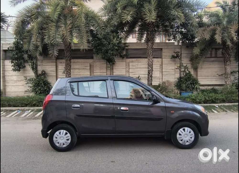 Alto 800 Model 2022