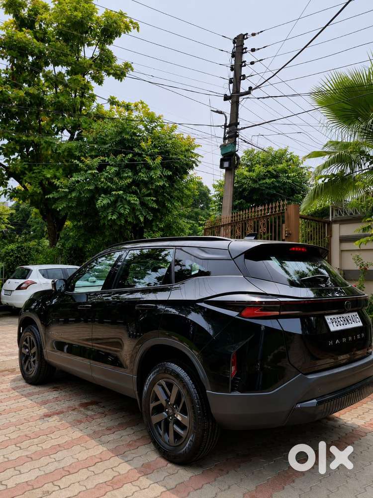 Tata Harrier Pure Plus S Dark Edition At, 2024, Diesel