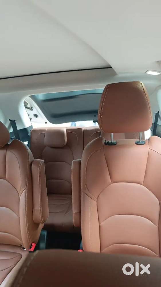 Mg Hector Plus 2022 Petrol 10000 Km Driven