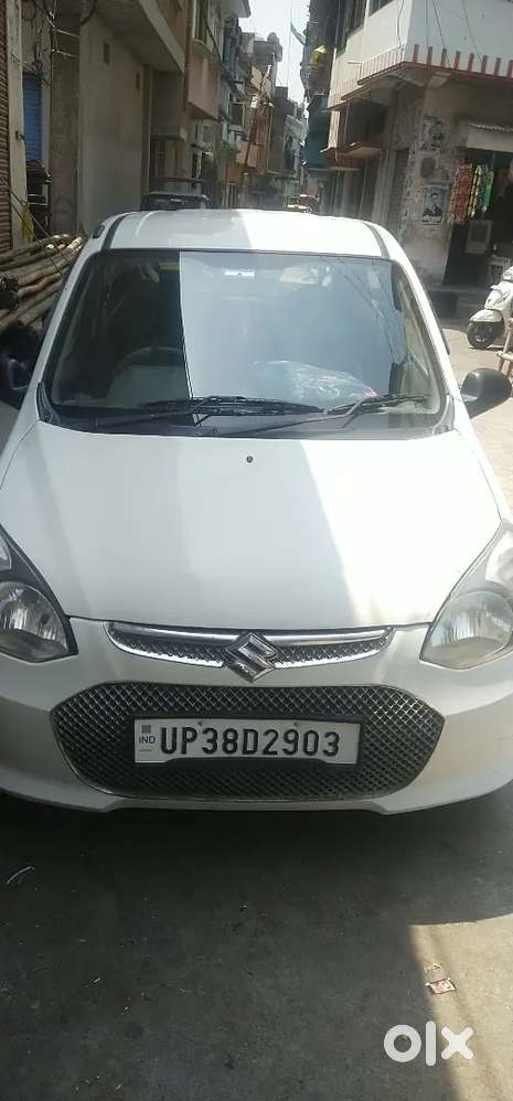 Alto 800 All Mantain