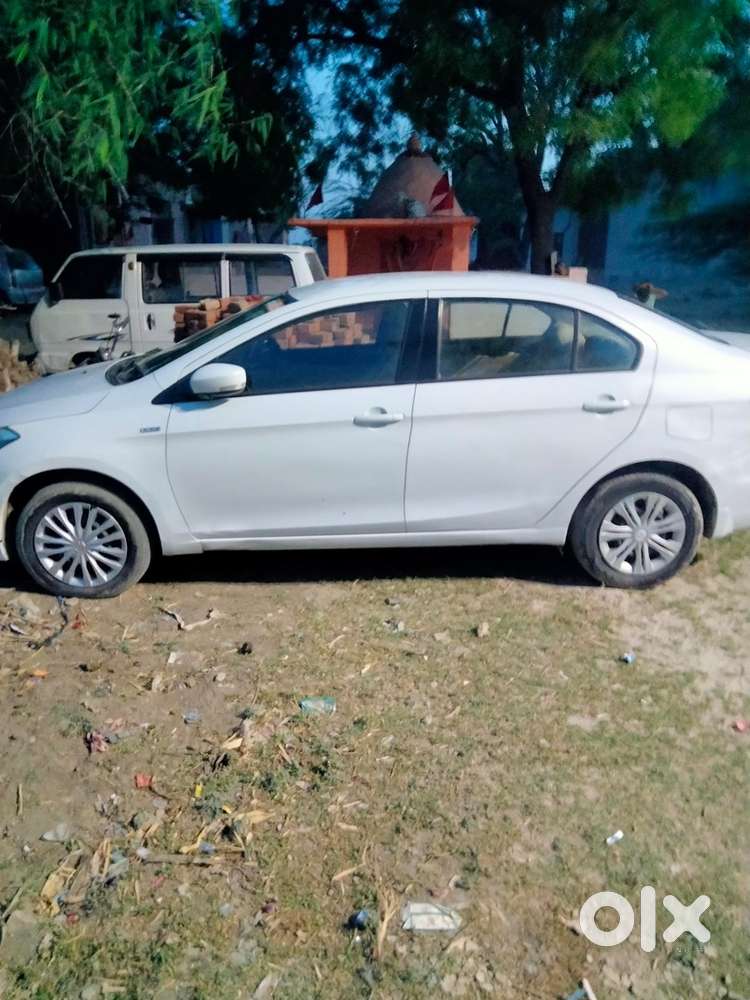 Maruti Suzuki Ciaz 2015 Year Diesel