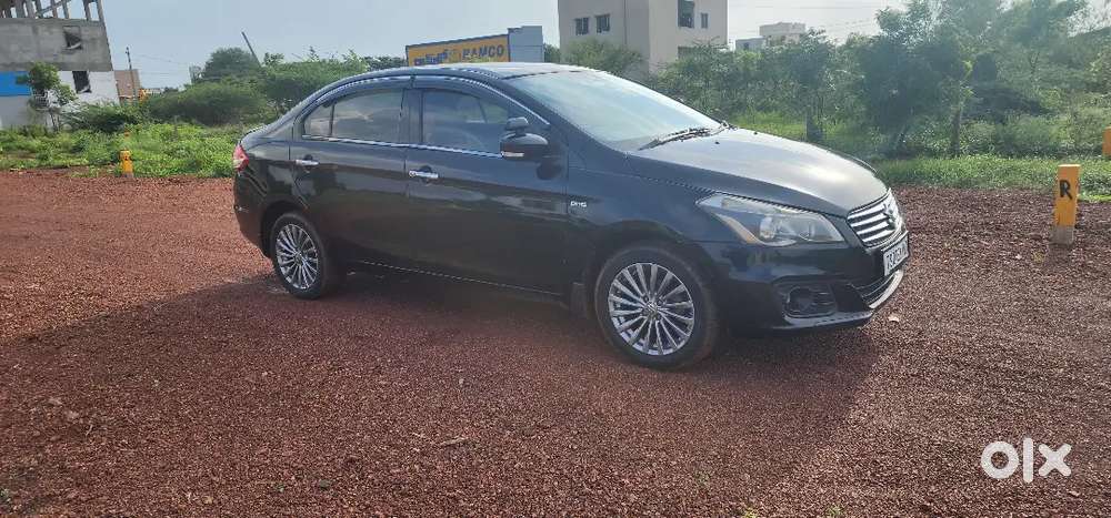 Maruti Suzuki Ciaz Zdi 2015 Diesel Manual