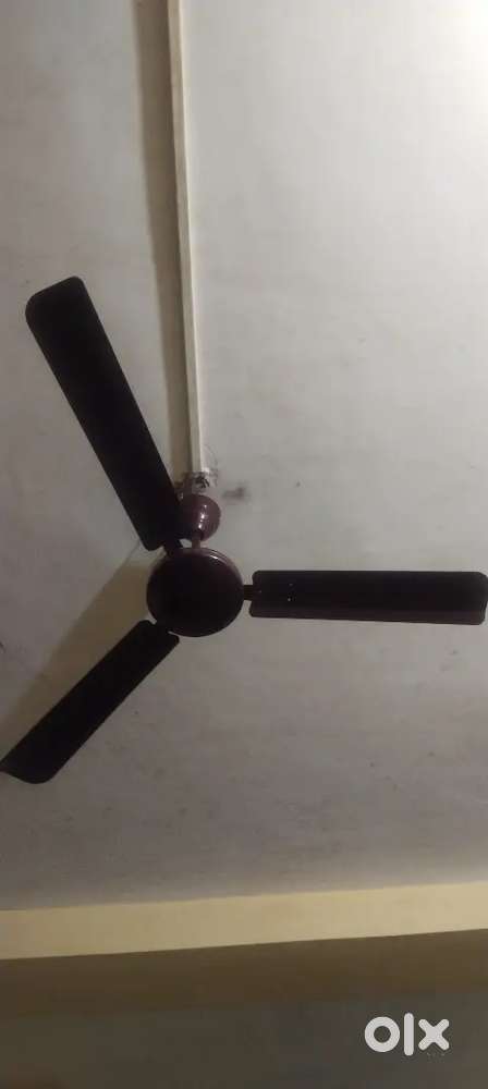 Havells Rooftop Fan.