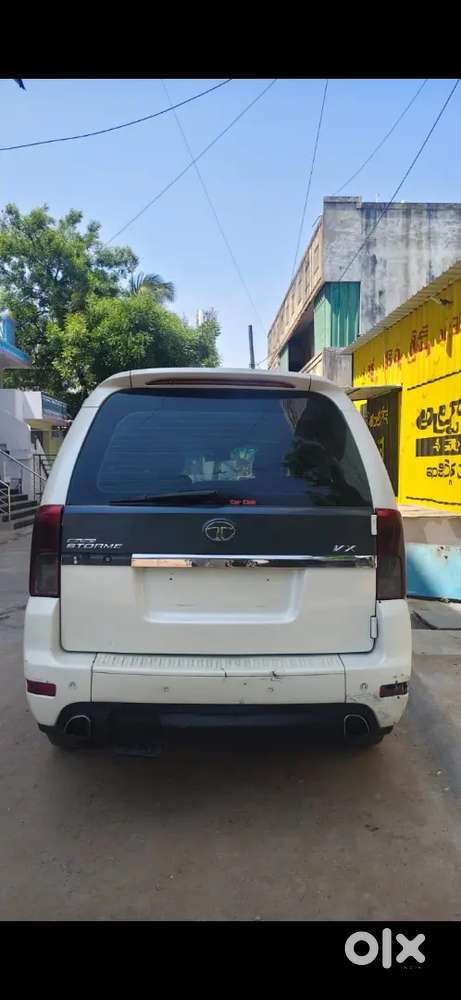 Safari Storme