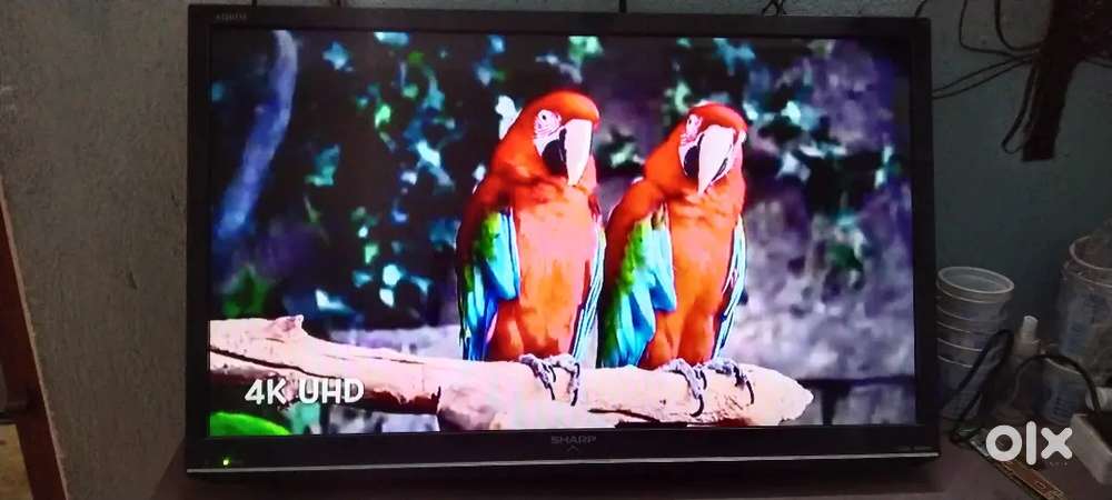 SHARP LED TV 32 inches - TVs, Video - Audio in Sodepur, Kolkata ...