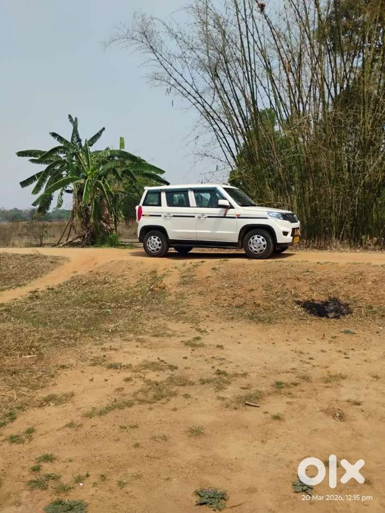 1 Month Old Bolero B6 50000 Discount