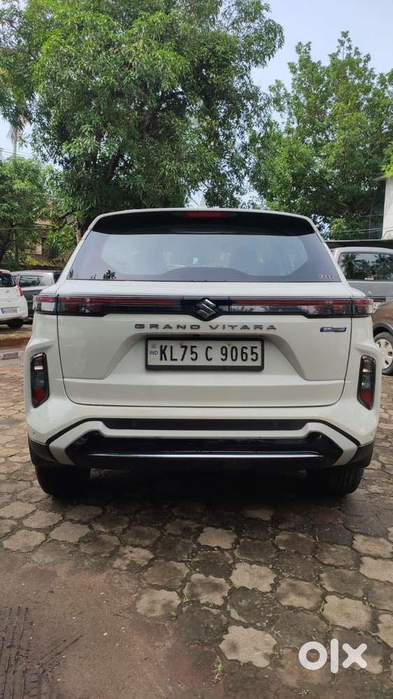 Maruti Suzuki Grand Vitara 1.5 Delta Smart Hybrid, 2023, Petrol