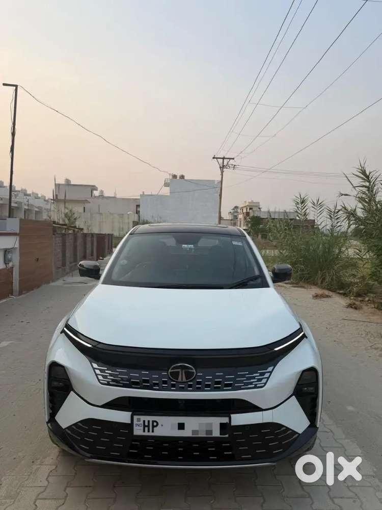 Tata Curvv 2025 Diesel Well Maintained