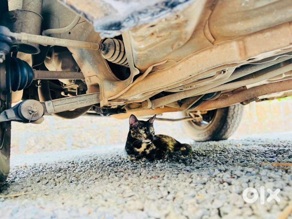 Maruti Suzuki Alto 2005 Petrol 75000 Km Driven