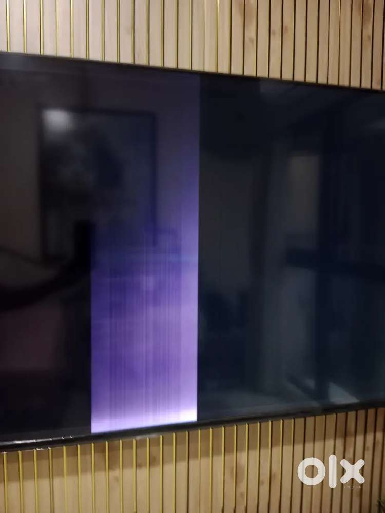 Samsung 55 TV display not working