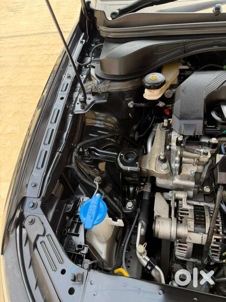 Hyundai Verna 2025 Petrol Well Maintained