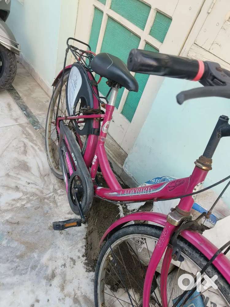 Bsa Cycles Second Hand Ladybird Cycle Ladybird Cycle Bsa Bicycles