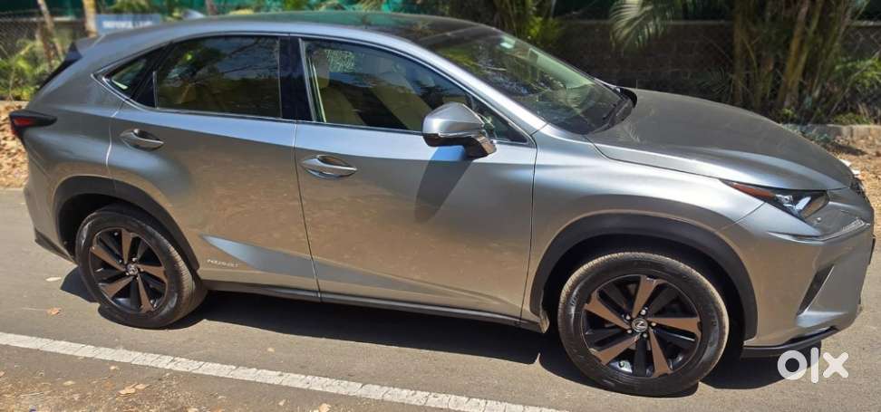 Lexus Nx Lexus-nx-300h-luxury, 2019, Petrol