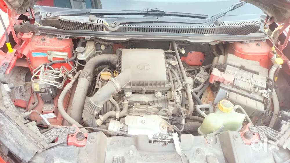 Nexon 2023 Mfg 2024 Reg Topmodel