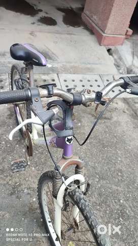 Olx sales olx cycle