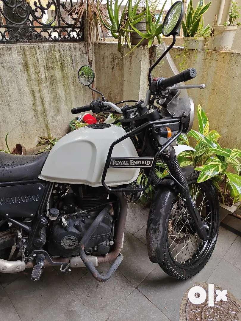 re himalayan olx