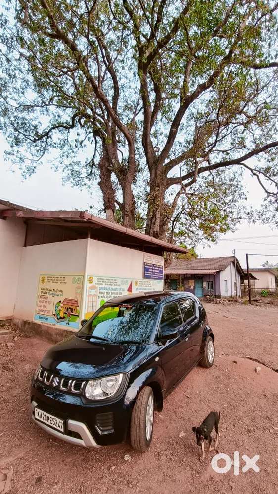Maruti Suzuki Ignis 2022 Petrol 38000 Km Driven