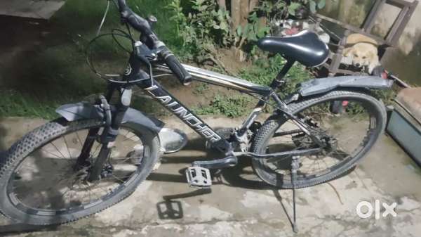 2 years old cycle