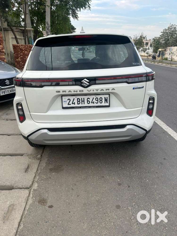 Maruti Suzuki Grand Vitara 2024 Petrol Well Maintained