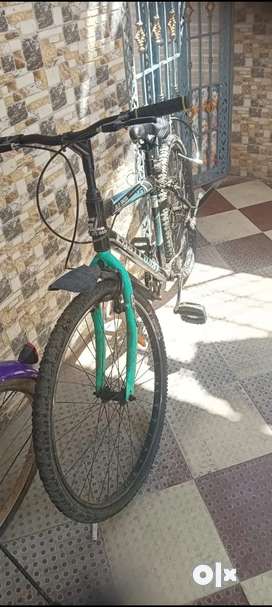 Bicycles for sale in Kadapa Second Hand Cycles in Kadapa OLX