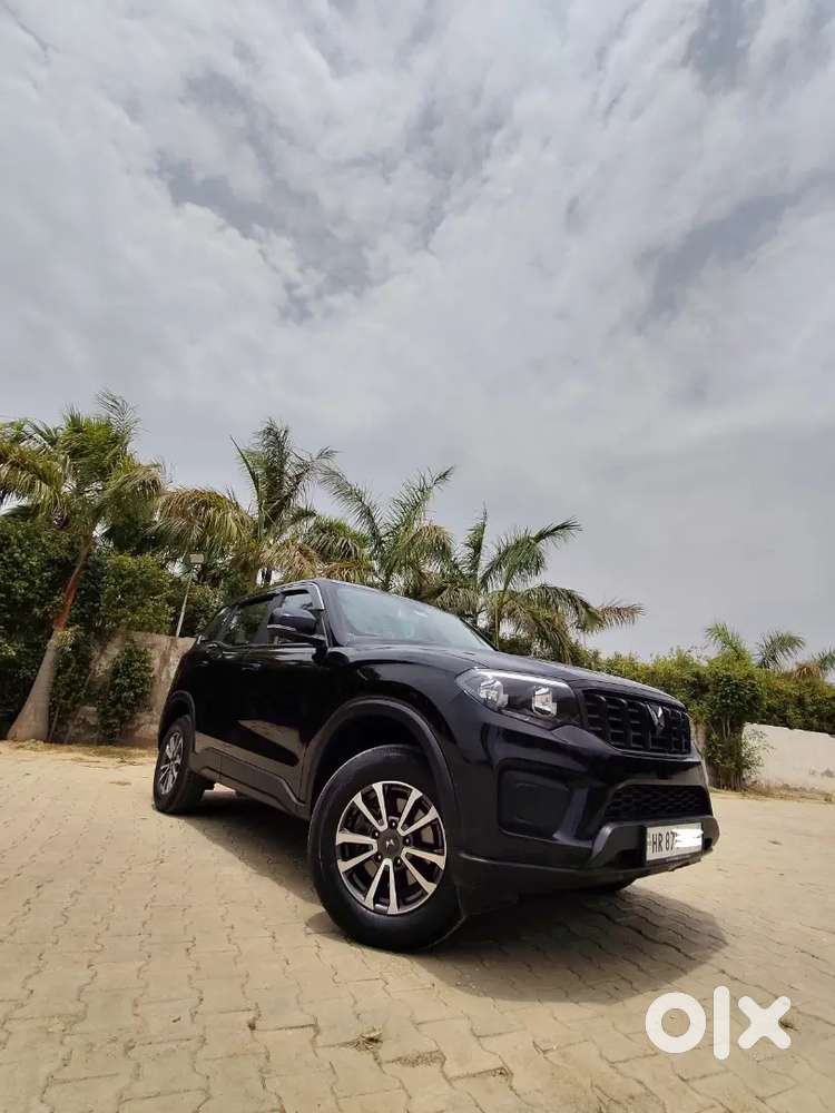 Brand New Car