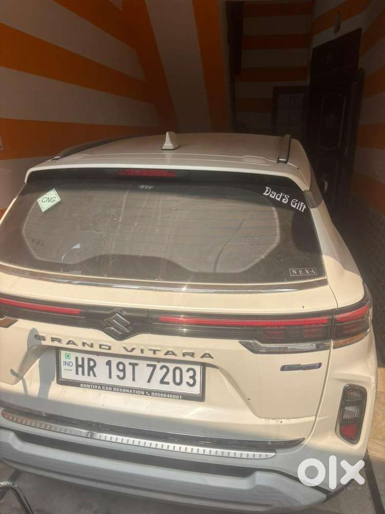 Maruti Suzuki Petrol 2024