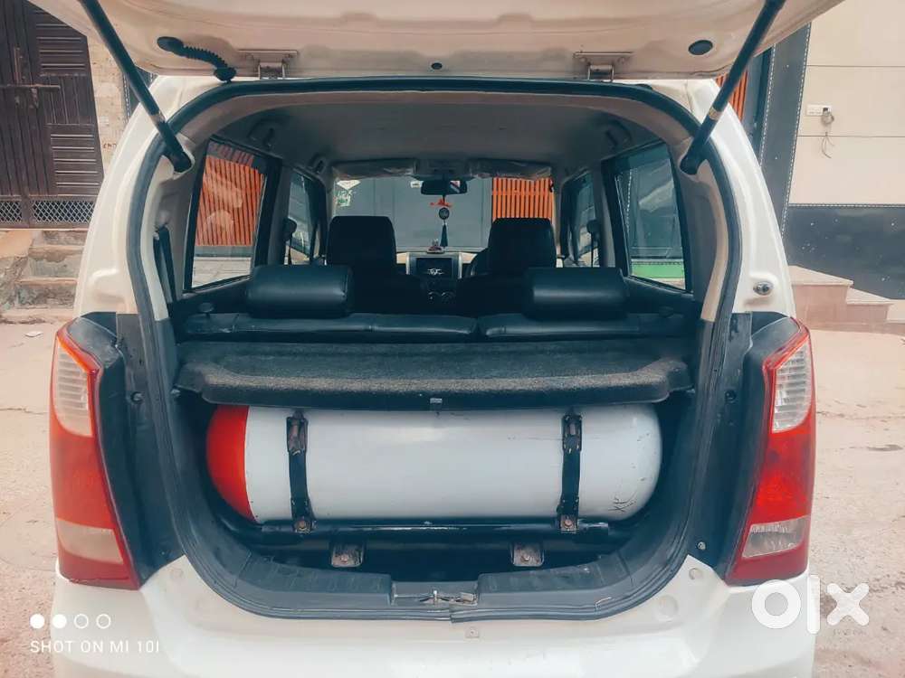 Wagon R 1.0 2018 Lxi Green Cng