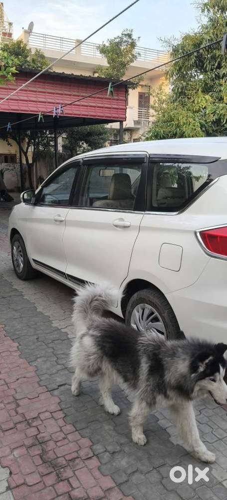 Maruti Suzuki Ertiga 2022-2023 Vxi Cng, 2022, Cng & Hybrids