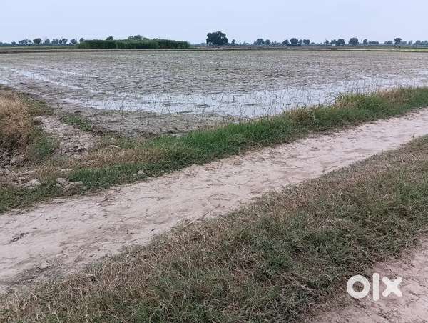 Buy Agriculture Land in Sonipat – Clear Title & Best Price