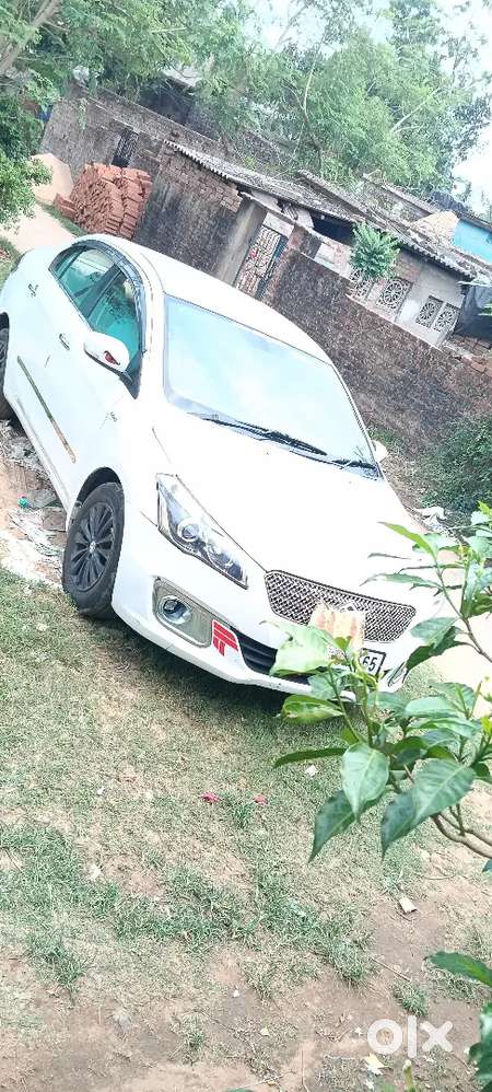 Maruti Suzuki Ciaz Zdi 2015 Diesel
