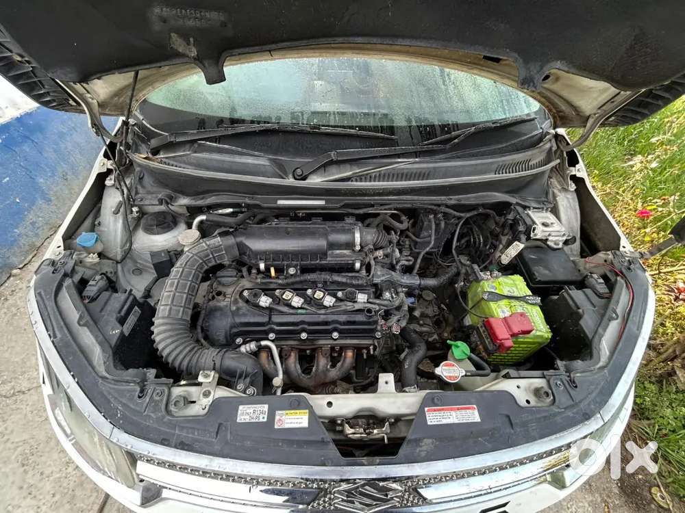 Maruti Suzuki Ignis 2017 Petrol