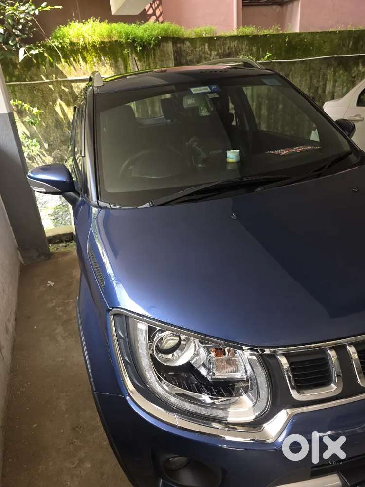 Maruti Suzuki Ignis 2022 Petrol 19000 Km Driven