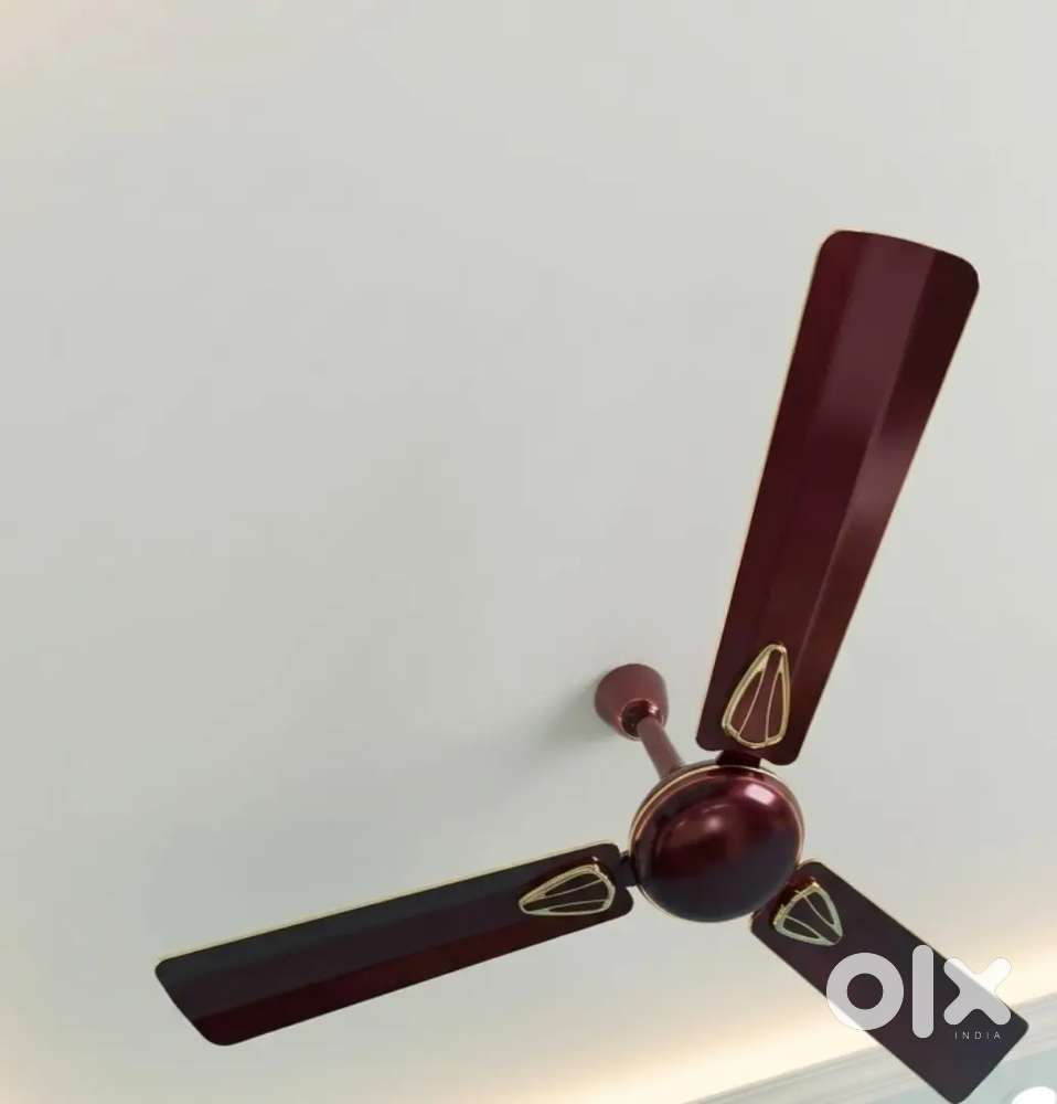 Celling Fan (polar)