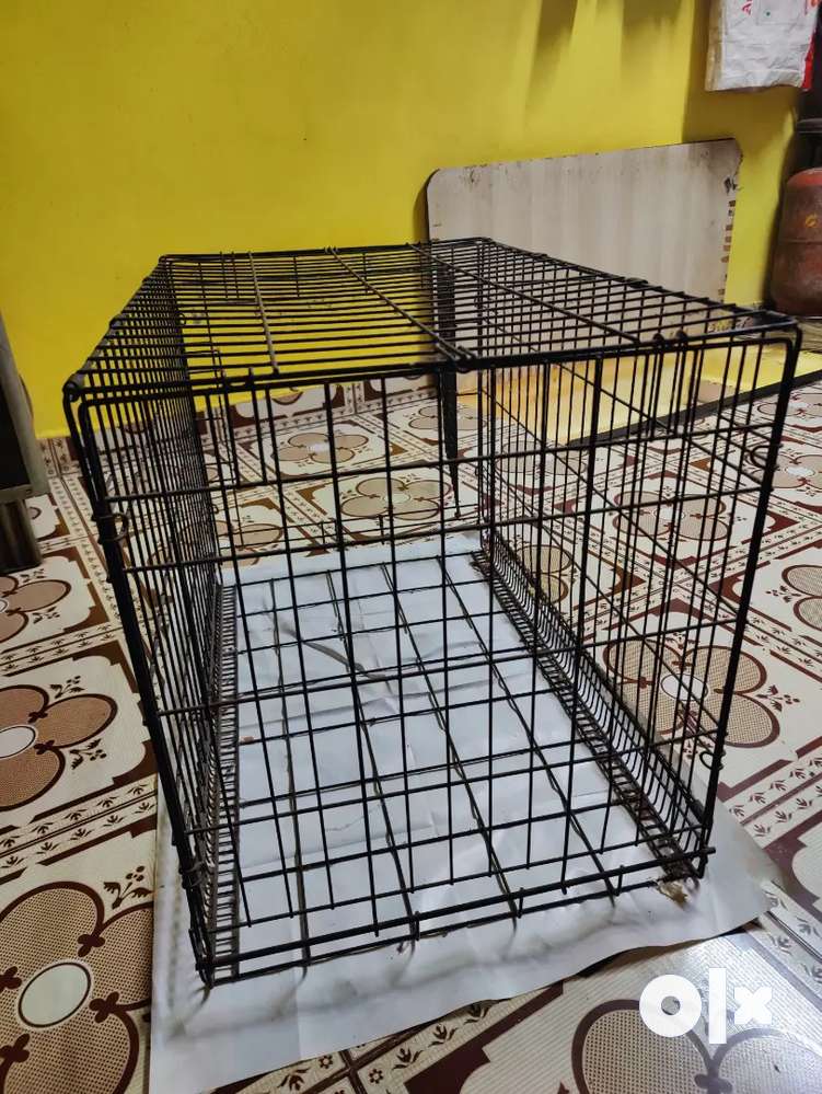 Olx dog 2025 cage for sale