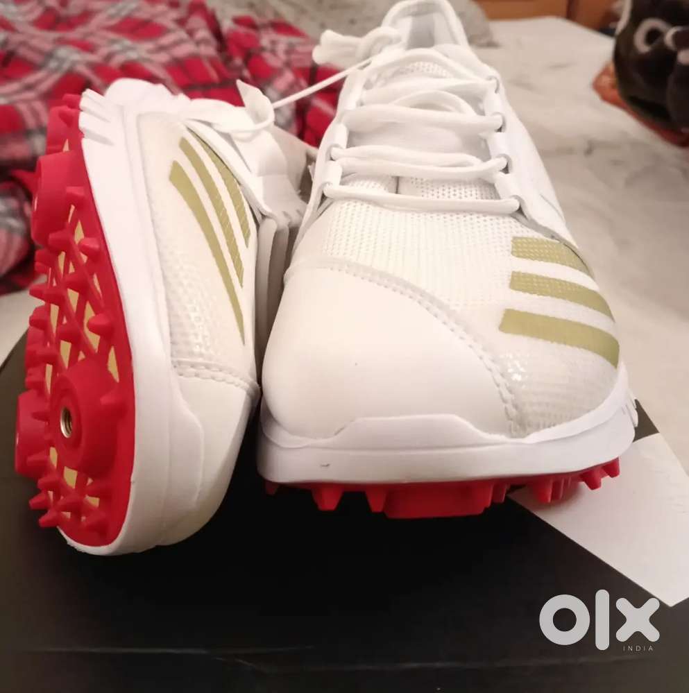 Cricket spikes